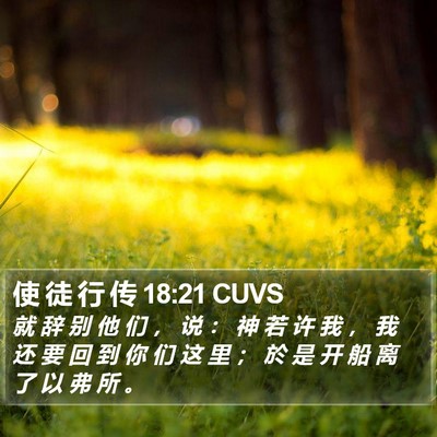 使 徒 行 传 18:21 CUVS Bible Verse Image