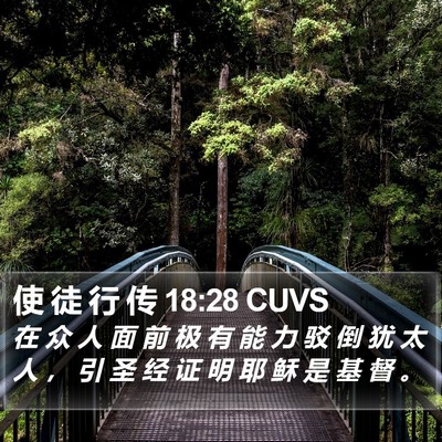 使 徒 行 传 18:28 CUVS Bible Verse Image