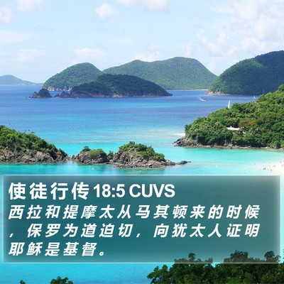 使 徒 行 传 18:5 CUVS Bible Verse Image