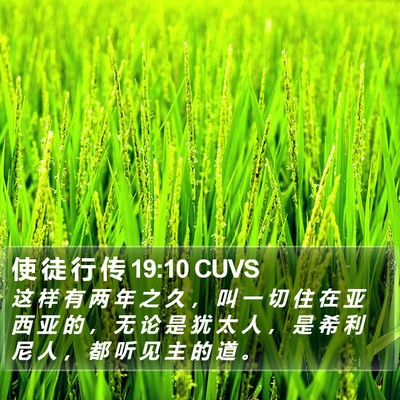 使 徒 行 传 19:10 CUVS Bible Verse Image