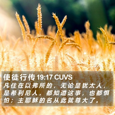 使 徒 行 传 19:17 CUVS Bible Verse Image