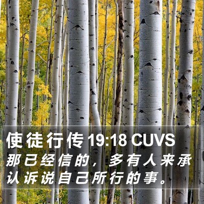 使 徒 行 传 19:18 CUVS Bible Verse Image