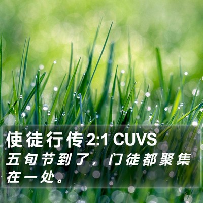 使 徒 行 传 2:1 CUVS Bible Verse Image