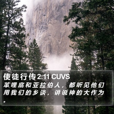 使 徒 行 传 2:11 CUVS Bible Verse Image