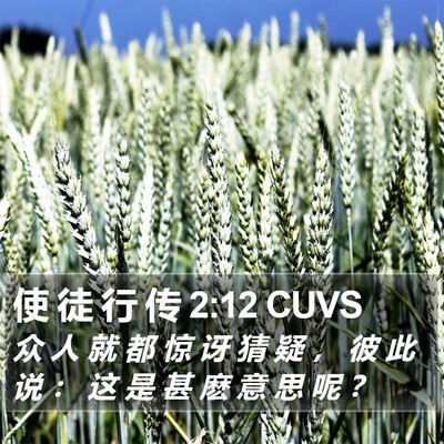 使 徒 行 传 2:12 CUVS Bible Verse Image