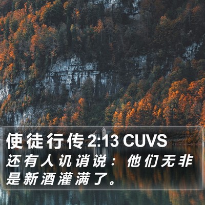 使 徒 行 传 2:13 CUVS Bible Verse Image