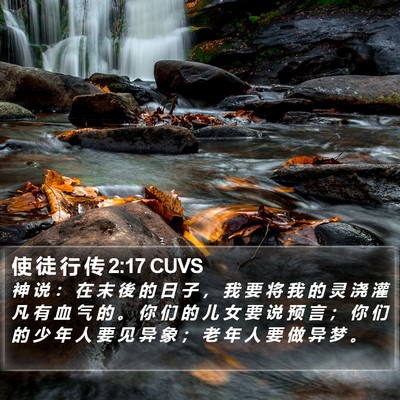 使 徒 行 传 2:17 CUVS Bible Verse Image