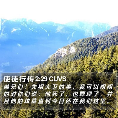 使 徒 行 传 2:29 CUVS Bible Verse Image