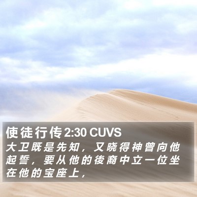 使 徒 行 传 2:30 CUVS Bible Verse Image