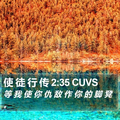 使 徒 行 传 2:35 CUVS Bible Verse Image