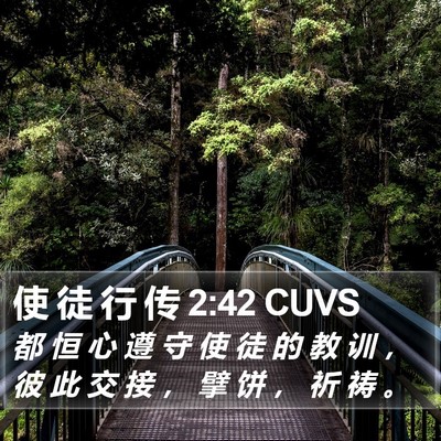 使 徒 行 传 2:42 CUVS Bible Verse Image