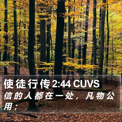 使 徒 行 传 2:44 CUVS Bible Verse Image