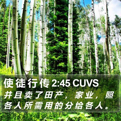 使 徒 行 传 2:45 CUVS Bible Verse Image