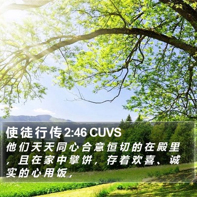 使 徒 行 传 2:46 CUVS Bible Verse Image