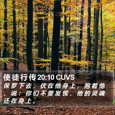 使 徒 行 传 20:10 CUVS Bible Verse Image