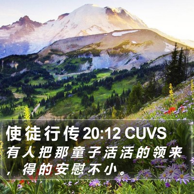 使 徒 行 传 20:12 CUVS Bible Verse Image