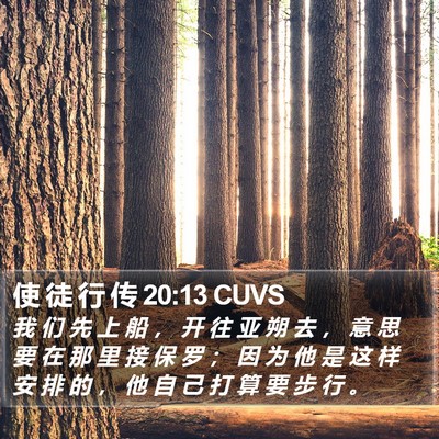 使 徒 行 传 20:13 CUVS Bible Verse Image