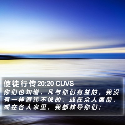 使 徒 行 传 20:20 CUVS Bible Verse Image