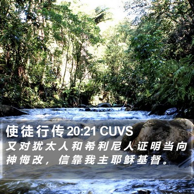 使 徒 行 传 20:21 CUVS Bible Verse Image
