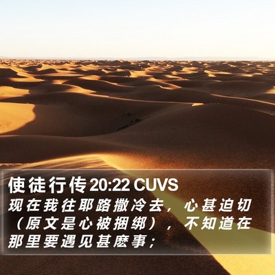 使 徒 行 传 20:22 CUVS Bible Verse Image