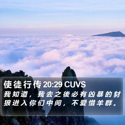 使 徒 行 传 20:29 CUVS Bible Verse Image
