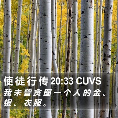 使 徒 行 传 20:33 CUVS Bible Verse Image