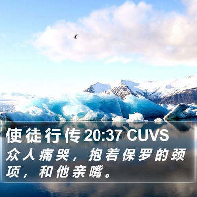 使 徒 行 传 20:37 CUVS Bible Verse Image