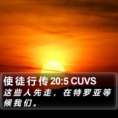使 徒 行 传 20:5 CUVS Bible Verse Image