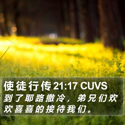 使 徒 行 传 21:17 CUVS Bible Verse Image