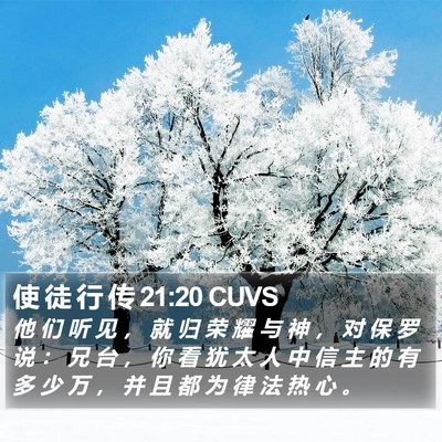 使 徒 行 传 21:20 CUVS Bible Verse Image