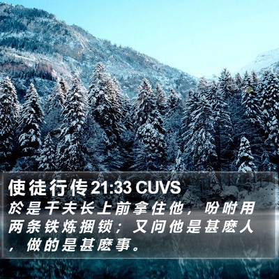 使 徒 行 传 21:33 CUVS Bible Verse Image