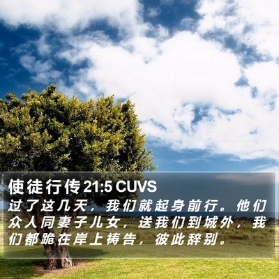 使 徒 行 传 21:5 CUVS Bible Verse Image