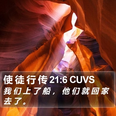 使 徒 行 传 21:6 CUVS Bible Verse Image