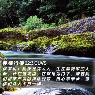 使 徒 行 传 22:3 CUVS Bible Verse Image