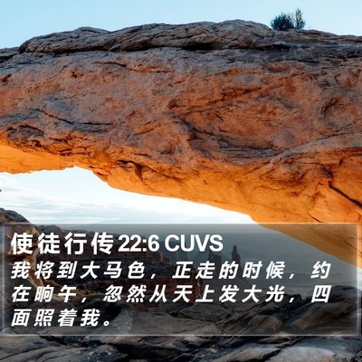 使 徒 行 传 22:6 CUVS Bible Verse Image