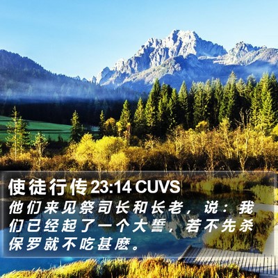 使 徒 行 传 23:14 CUVS Bible Verse Image
