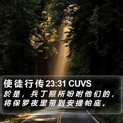 使 徒 行 传 23:31 CUVS Bible Verse Image