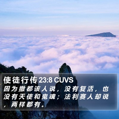 使 徒 行 传 23:8 CUVS Bible Verse Image