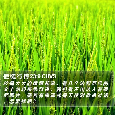 使 徒 行 传 23:9 CUVS Bible Verse Image