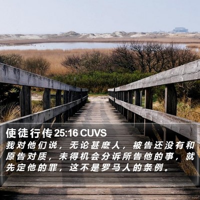 使 徒 行 传 25:16 CUVS Bible Verse Image