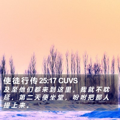 使 徒 行 传 25:17 CUVS Bible Verse Image