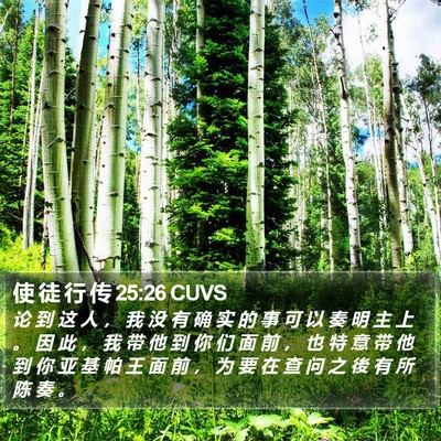 使 徒 行 传 25:26 CUVS Bible Verse Image