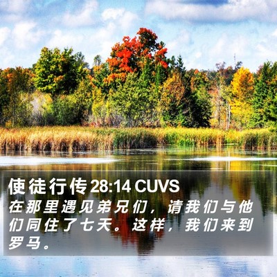 使 徒 行 传 28:14 CUVS Bible Verse Image