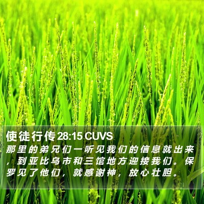 使 徒 行 传 28:15 CUVS Bible Verse Image