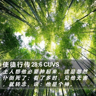 使 徒 行 传 28:6 CUVS Bible Verse Image