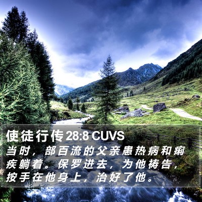 使 徒 行 传 28:8 CUVS Bible Verse Image