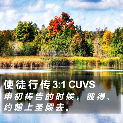 使 徒 行 传 3:1 CUVS Bible Verse Image