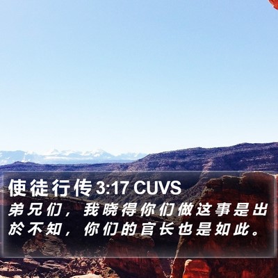 使 徒 行 传 3:17 CUVS Bible Verse Image