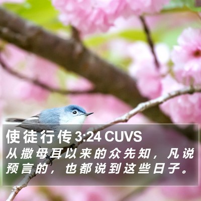使 徒 行 传 3:24 CUVS Bible Verse Image