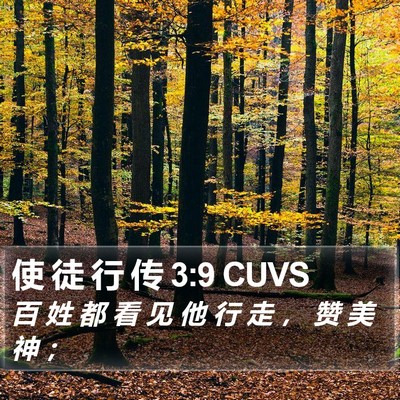 使 徒 行 传 3:9 CUVS Bible Verse Image